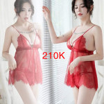 do ngu vay ngu hai phong vn 05 3 - sìn sú Hải Phòng