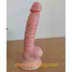 duong vat gia khong rung size nho - sìn sú Hải Phòng