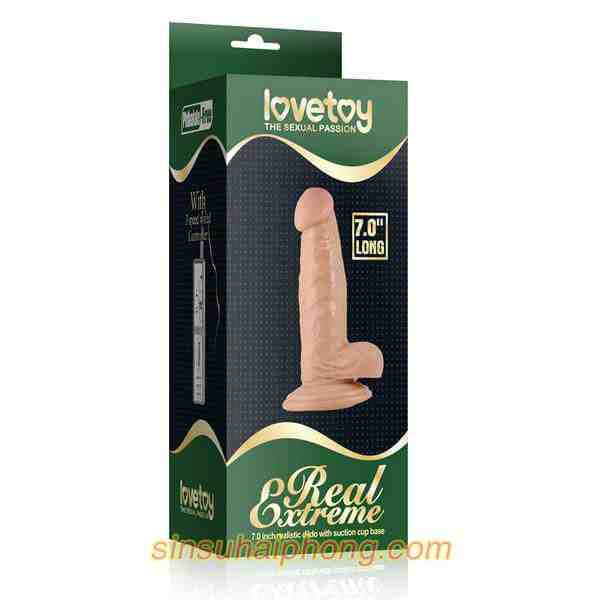 duong vat gia to dai - sìn sú Hải Phòng