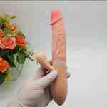 duong vat gia co nhanh 2 - sìn sú Hải Phòng