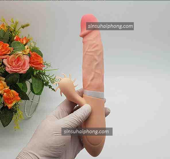 duong vat gia co nhanh 2 - sìn sú Hải Phòng