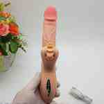 duong vat gia co nhanh 3 - sìn sú Hải Phòng