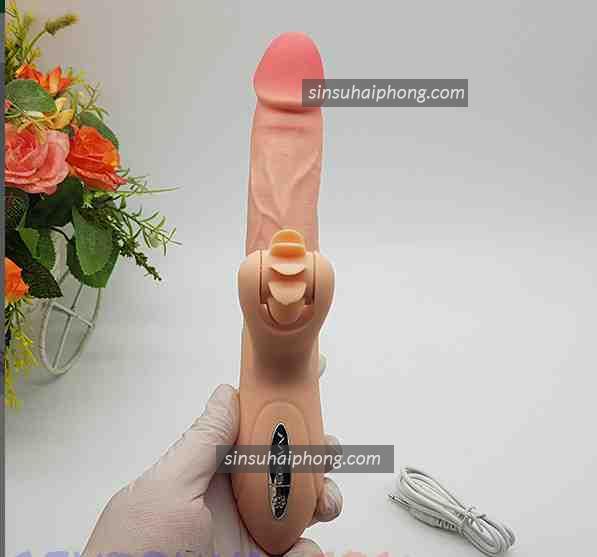 duong vat gia co nhanh 3 - sìn sú Hải Phòng