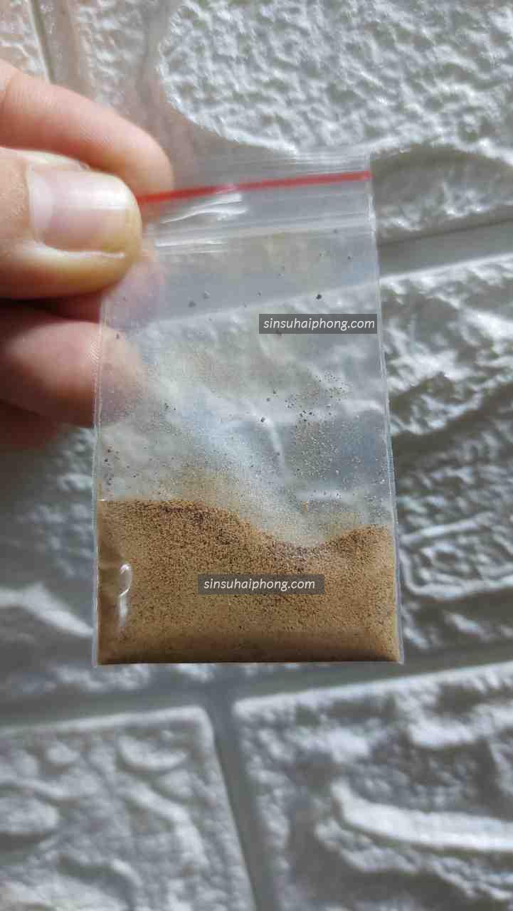 sin su bot - sìn sú Hải Phòng