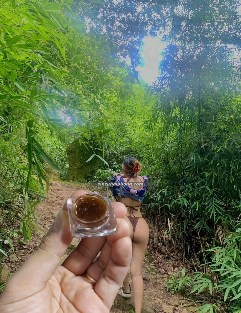 mua sìn sú tại Điện Biên