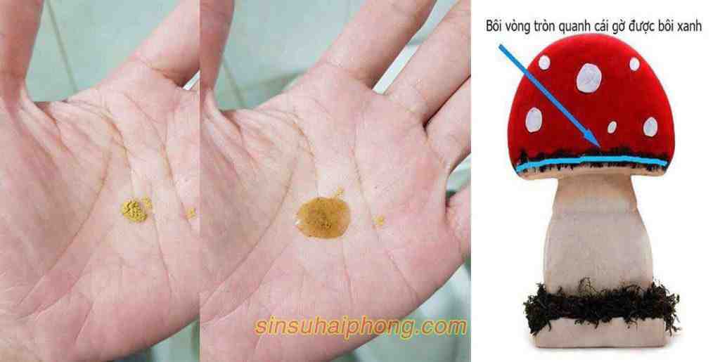 huong dan sai sin su - sìn sú Hải Phòng huong dan sai sin su - sìn sú Hải Phòng