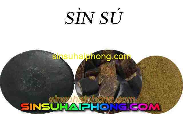 mua sin su bac ninh - sìn sú Hải Phòng