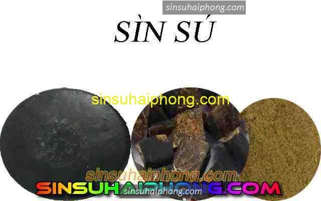 mua sin su bac ninh - sìn sú Hải Phòng