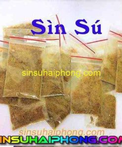 sin su chuan 1 - sìn sú Hải Phòng