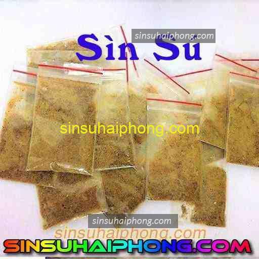 sin su chuan 1 - sìn sú Hải Phòng