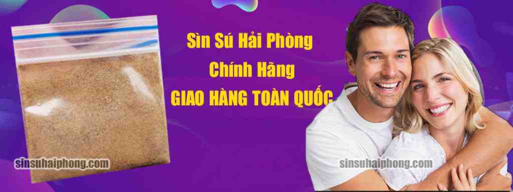 banner sin su hai phong - sìn sú Hải Phòng