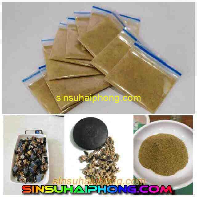 sin su nghe an2 - sìn sú Hải Phòng