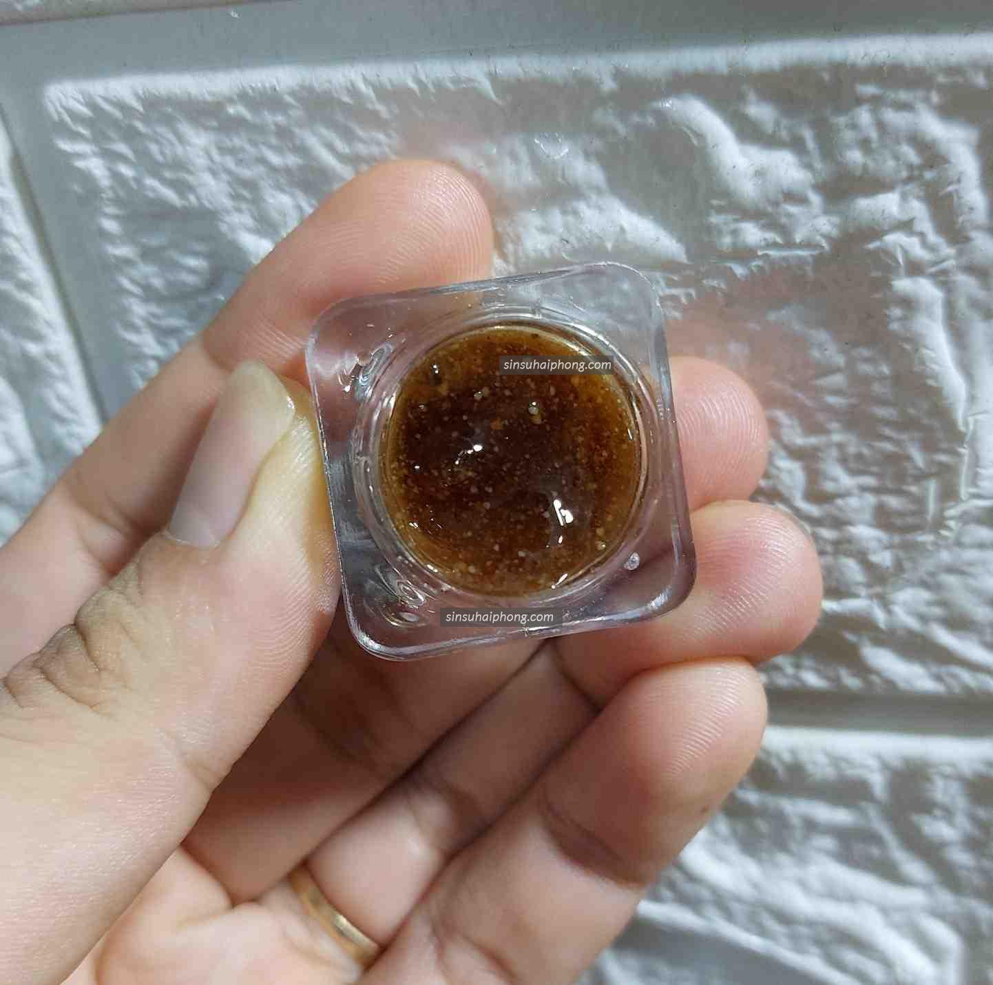 SIN SU TAI THAI BINH - sìn sú Hải Phòng