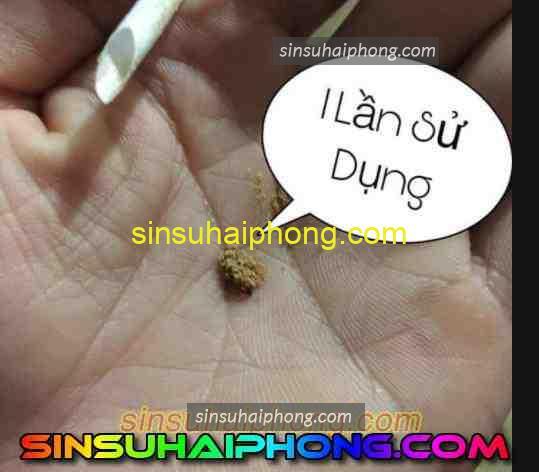tac hai cua sin su - sìn sú Hải Phòng