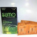 BCS SUMO bviet 01 - sìn sú Hải Phòng