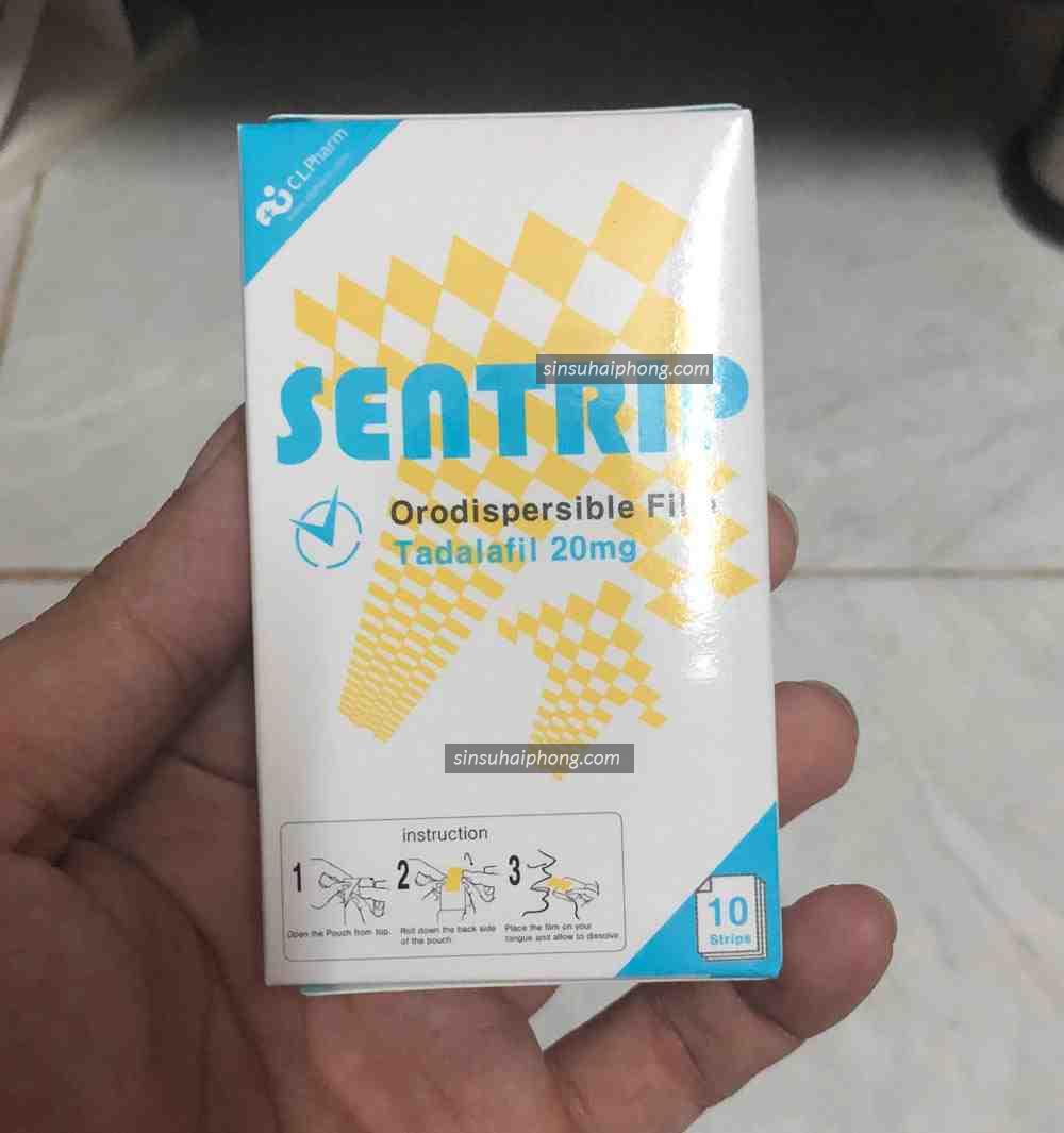 te - sìn sú Hải Phòng