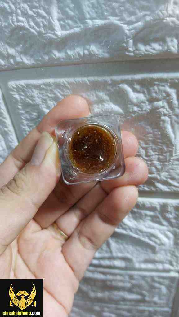 SIN SU TAI THAI BINH - sìn sú Hải Phòng SIN SU TAI THAI BINH - sìn sú Hải Phòng