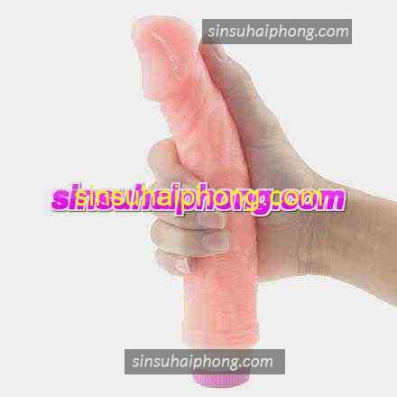 su dung duong vat gia - sìn sú Hải Phòng