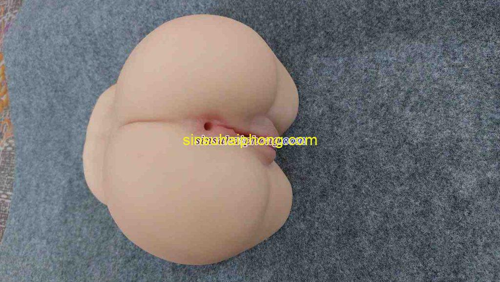 mong gia nguyen khoi mg8 5 - sìn sú Hải Phòng