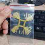 rau rong silicon - sìn sú Hải Phòng