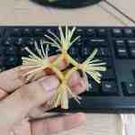 rau rong silicon 3 - sìn sú Hải Phòng