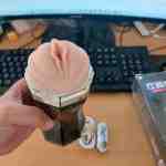 ad gia 2 dau rung ren 126 4 - sìn sú Hải Phòng