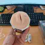 ad gia 2 dau rung ren 126 5 - sìn sú Hải Phòng