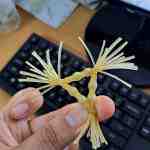 rau rong silicon 4 - sìn sú Hải Phòng