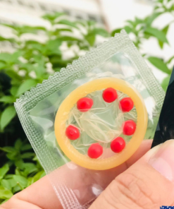 2022 09 24 091712 - sìn sú Hải Phòng