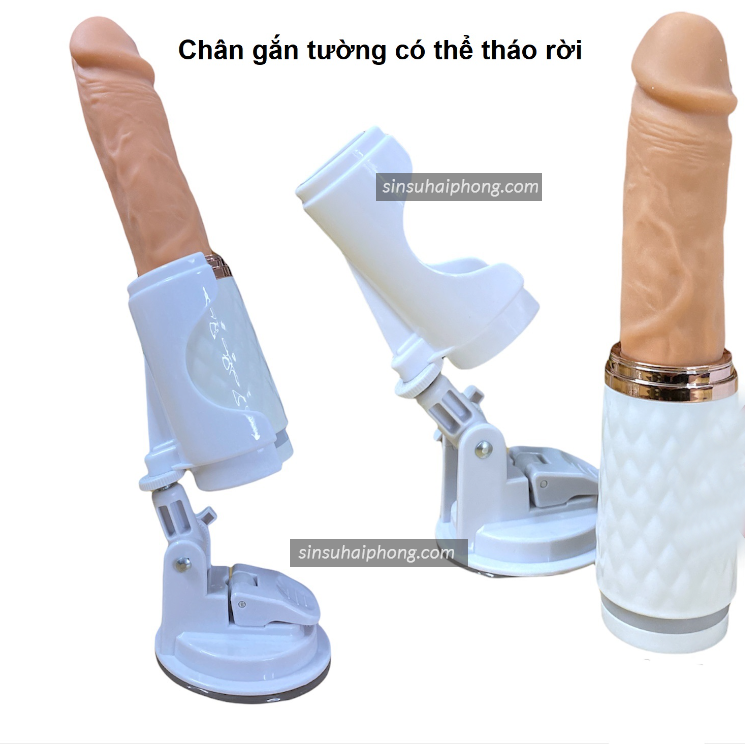 2022 09 24 110927 - sìn sú Hải Phòng