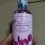 IMG 20181203 193134 scaled - sìn sú Hải Phòng