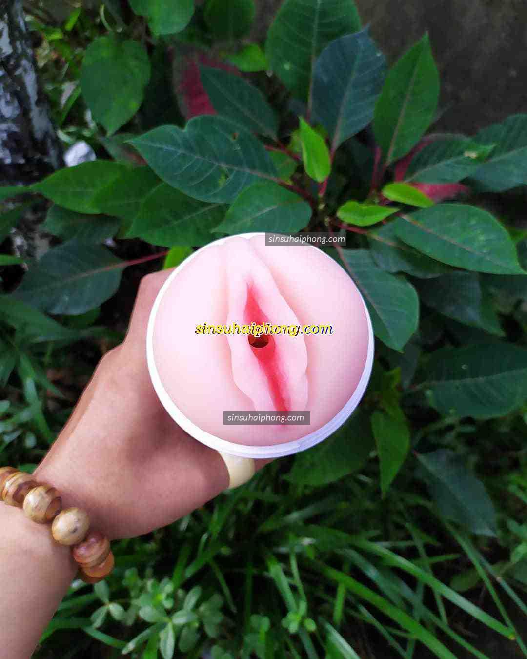 z1403953497245 302a02b3413360361a538ea65e6858e3 - sìn sú Hải Phòng