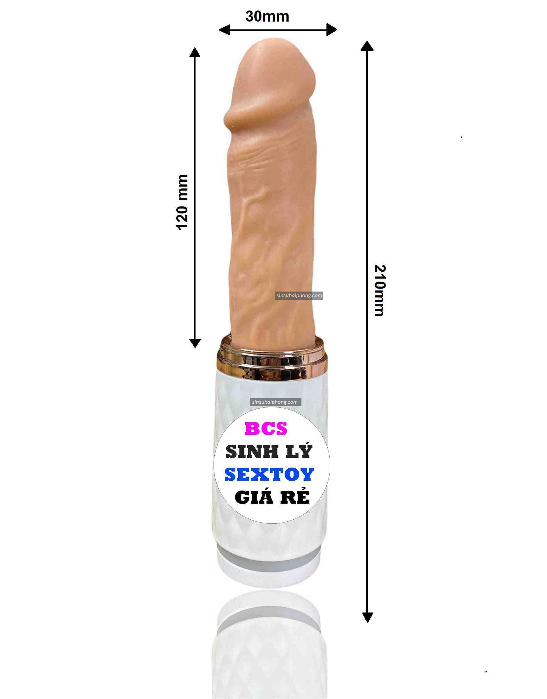 z3010707051645 3418f14b474e512ffdee5522e2427eee - sìn sú Hải Phòng