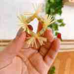 rau rong silicon 15 - sìn sú Hải Phòng