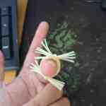 rau rong silicon 35 - sìn sú Hải Phòng