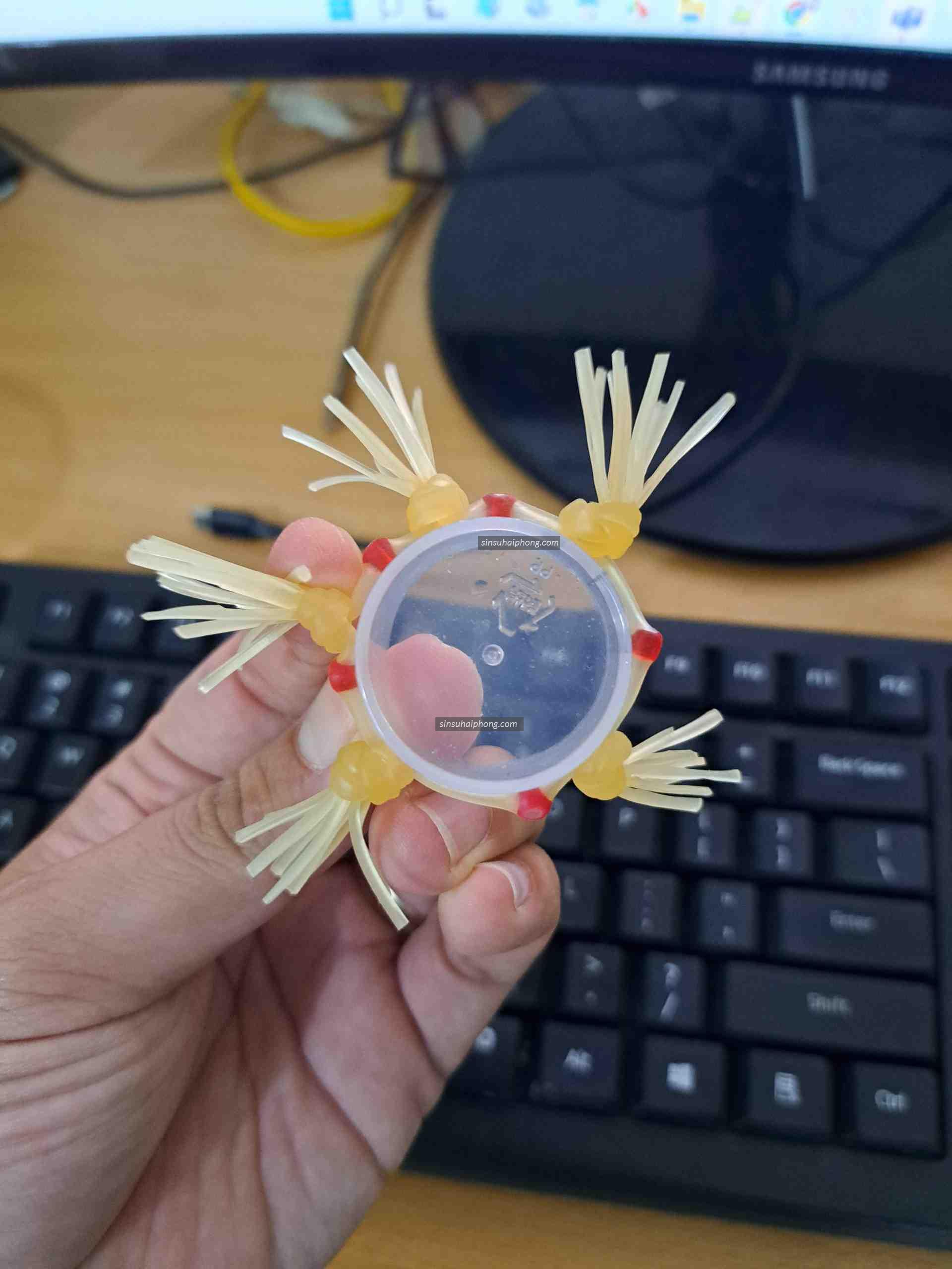 z3883409726428 3bacbba77a593cc6c5b331cda886fe9c - sìn sú Hải Phòng