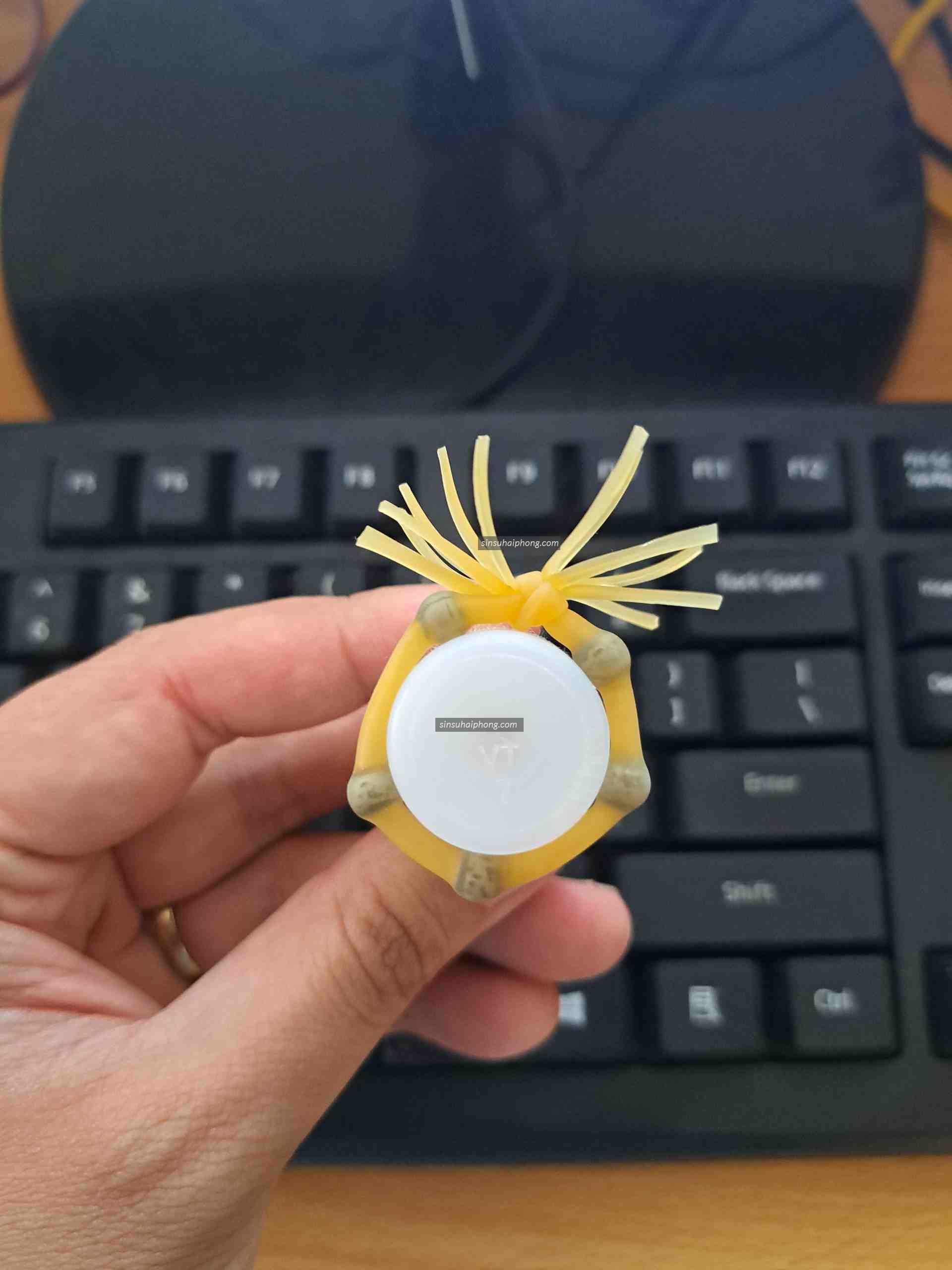 z3890535134002 3dfbc6f52991cfed50191daf0cc299cf - sìn sú Hải Phòng