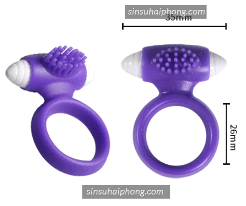 2023 04 07 140325 - sìn sú Hải Phòng