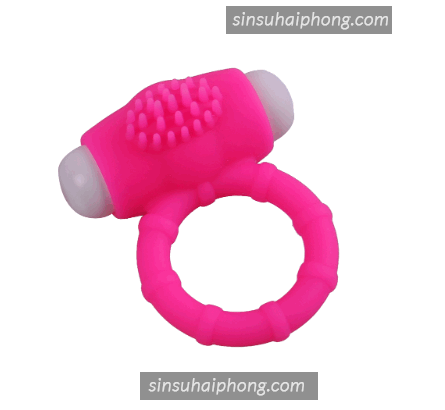 2023 04 07 141334 - sìn sú Hải Phòng