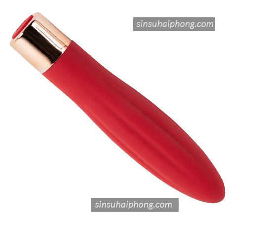 2023 04 07 141954 removebg preview - sìn sú Hải Phòng