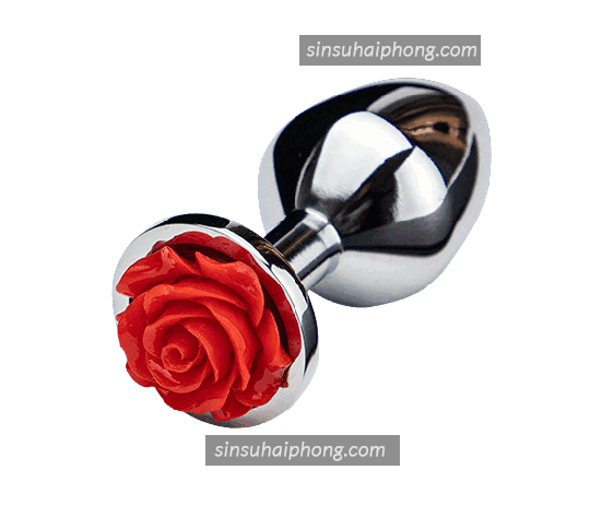 2023 04 07 143444 removebg preview - sìn sú Hải Phòng