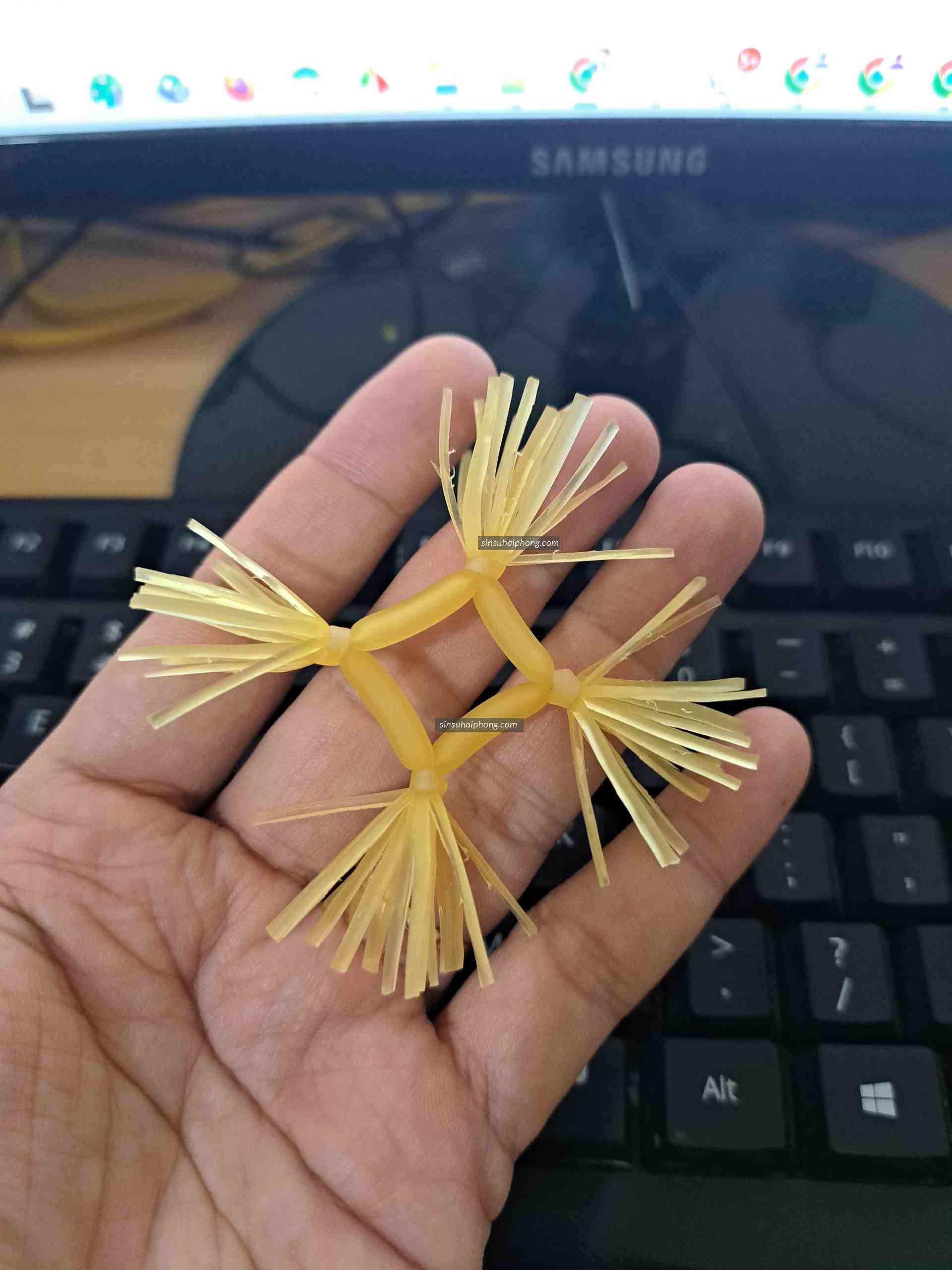 z3930875066358 5c4c7d1ffd4dbb54de1f0db068298be1 - sìn sú Hải Phòng