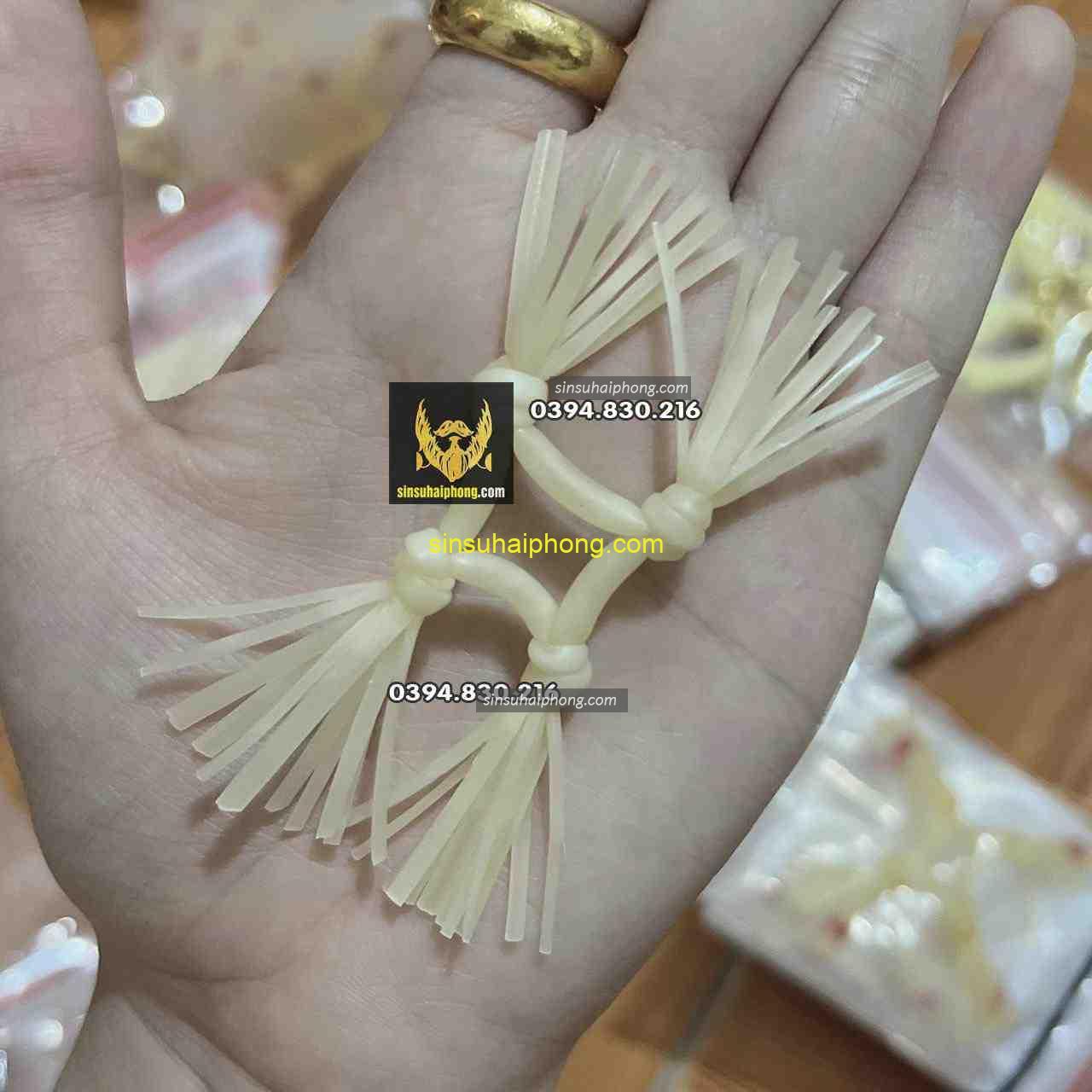 17fd424dddcd05935cdc - sìn sú Hải Phòng