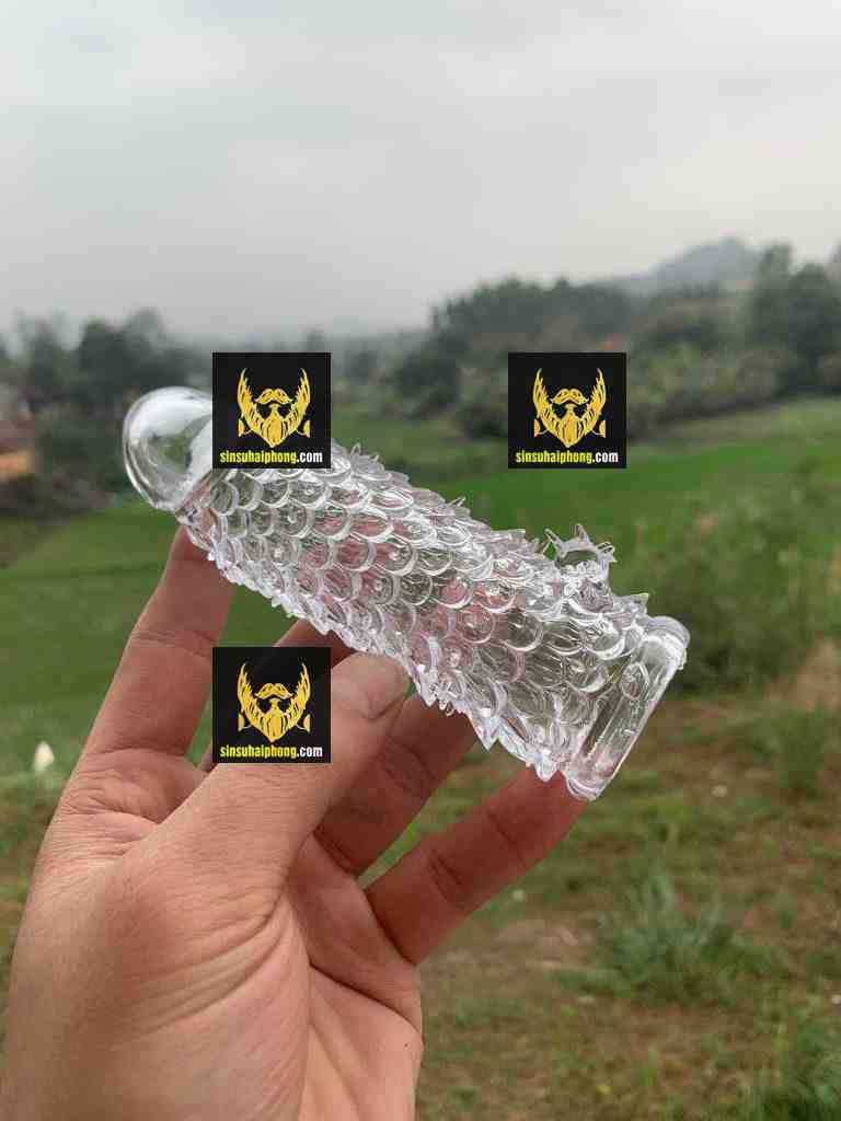 341607551 247912310937675 1660155197612017287 n - sìn sú Hải Phòng 341607551 247912310937675 1660155197612017287 n - sìn sú Hải Phòng