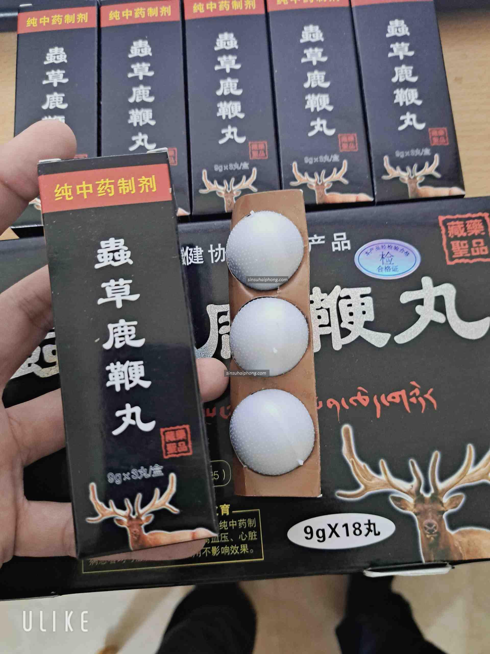 z4026887157913 eeabfa5e67b68e65a6eb92fde21b9056 - sìn sú Hải Phòng