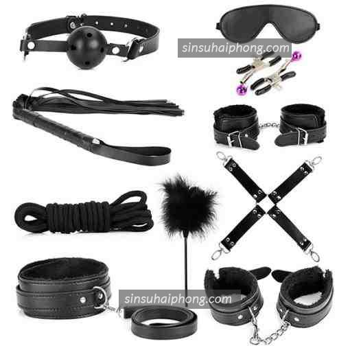 do choi bao dam hai phong 18 - sìn sú Hải Phòng