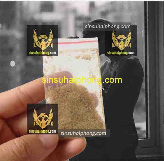 sinsuhaiphong 526 - sìn sú Hải Phòng