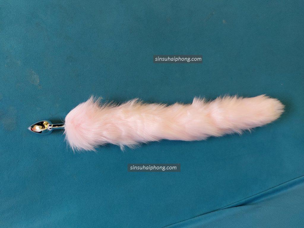 Đuôi cáo hậu môn tại Hải Phòng