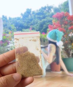 Sìn Sú tại TP Vinh